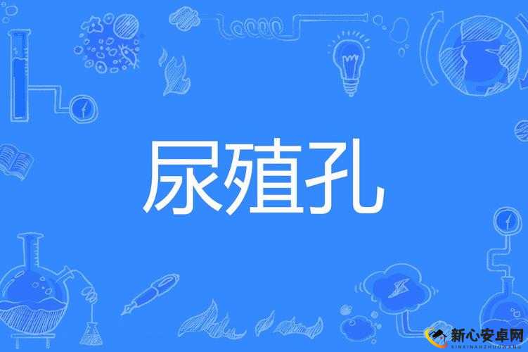 女：尿孔无遮挡露出 100%，隐私部位一览无遗