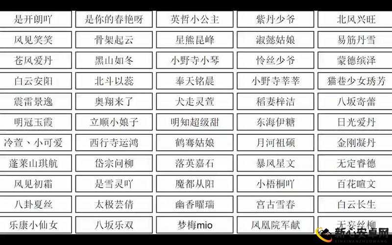 吃鸡小清新昵称，资源优化管理实现高效利用与价值提升