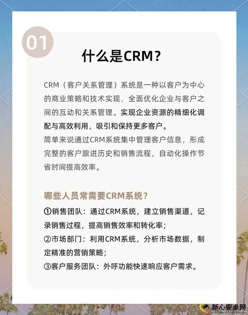 国内 CRM：引领企业客户关系管理的创新与发展之路