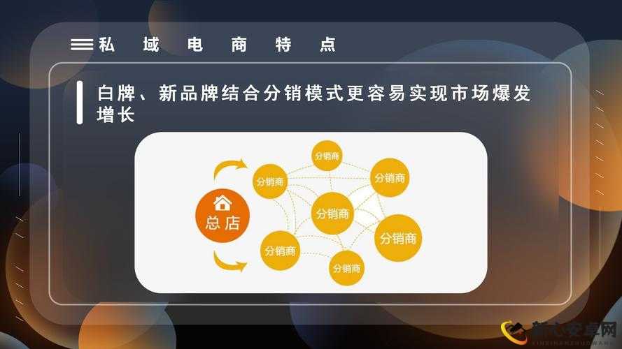 成品网源码 78W78 特点揭秘：深入剖析其独特之处